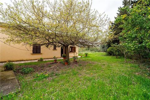 Finca i Selva, Mallorca, Selva - € 1.800.000 | Ref: 46222 - foto 22